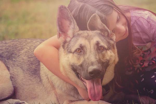 Cane con una bambina