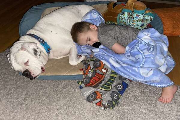 cane che dorme con un bambino