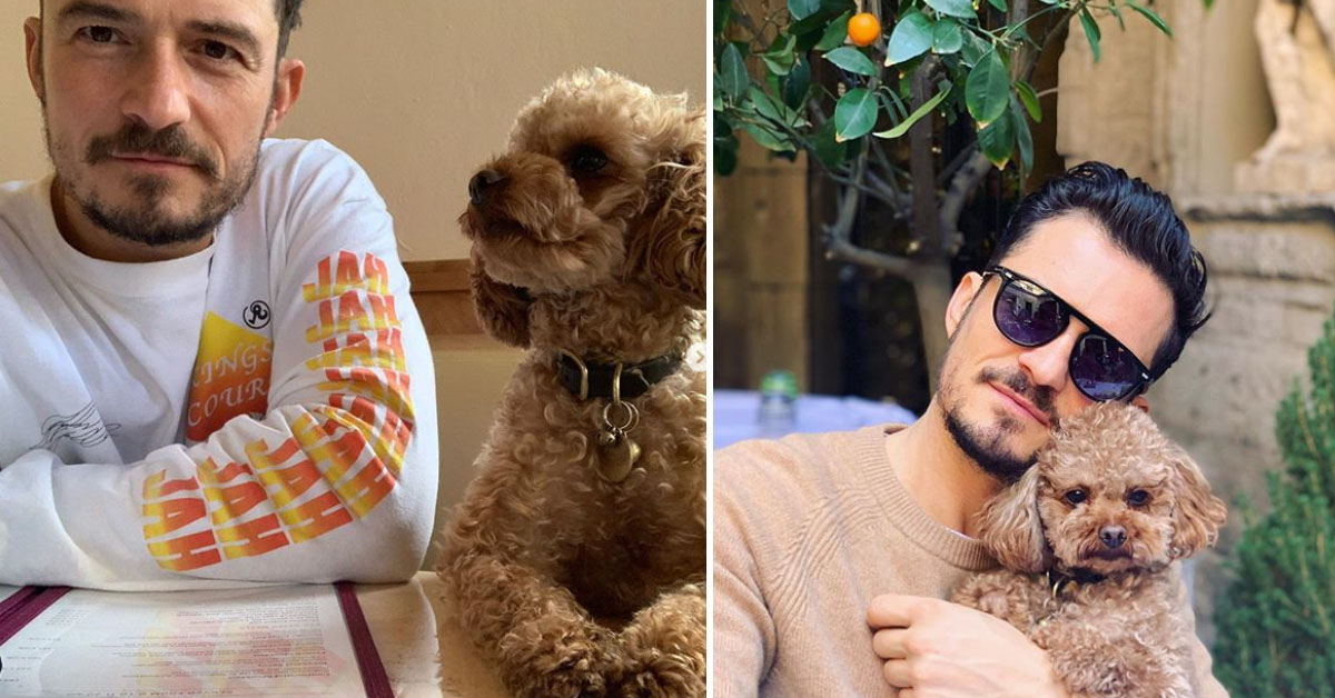 Orlando Bloom dice addio al suo cane Mighty: “Mi hai insegnato la devozione”