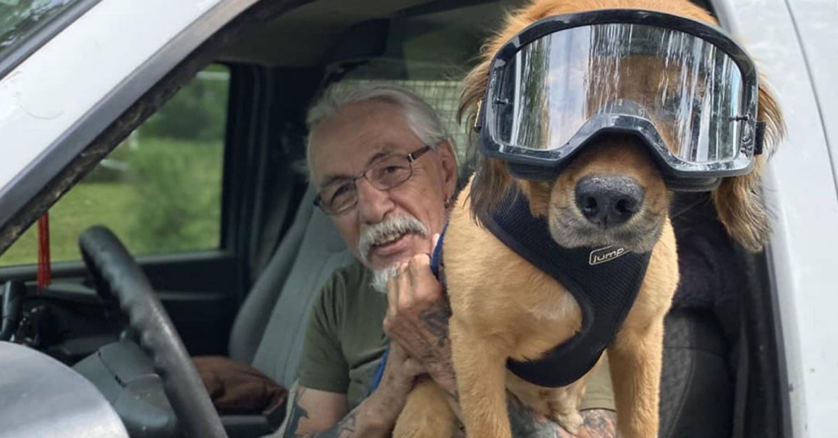Putz, il cagnolino che insieme al suo proprietario porta un sorriso al tempo del Covid