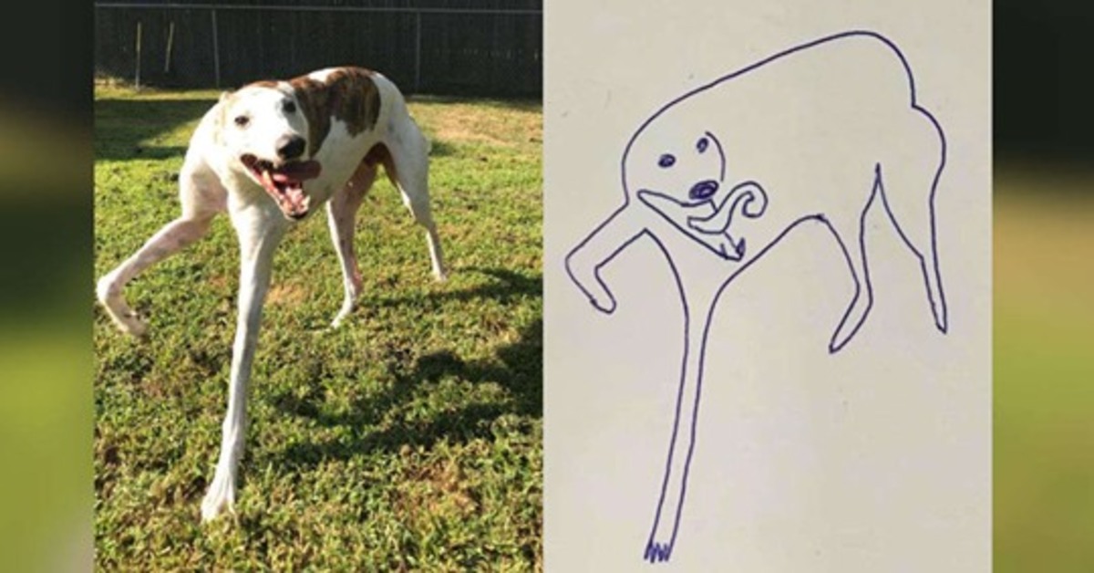 Stanley, il cagnolino che è diventato il protagonista dei disegni del suo padrone