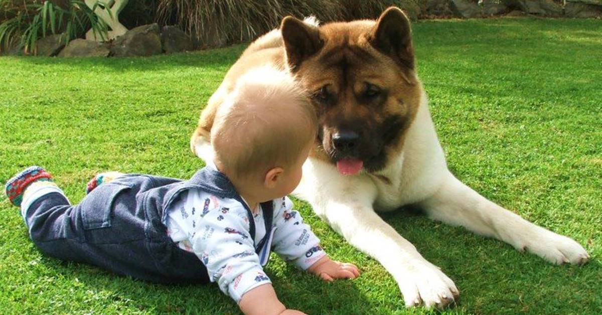 cane che gioca con un bambino