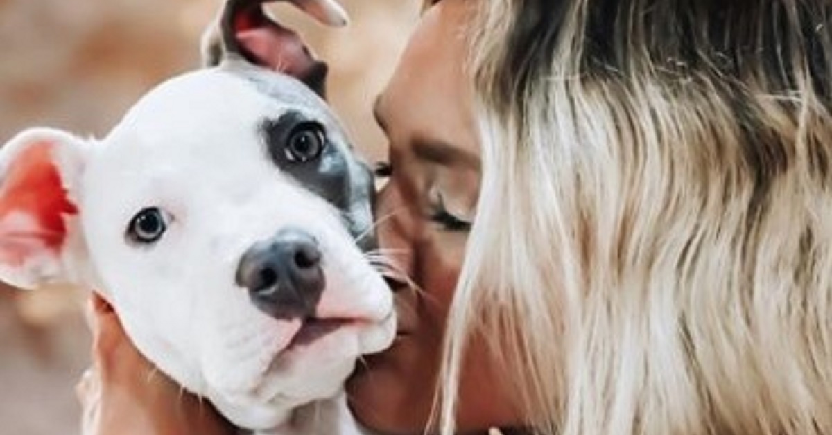 Cane completamente paralizzato si salva grazie all’amore (VIDEO)