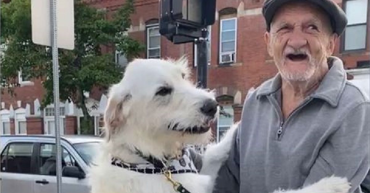 Cane labradoodle mostra la sua gioia nel rivedere il vicino di casa (VIDEO)