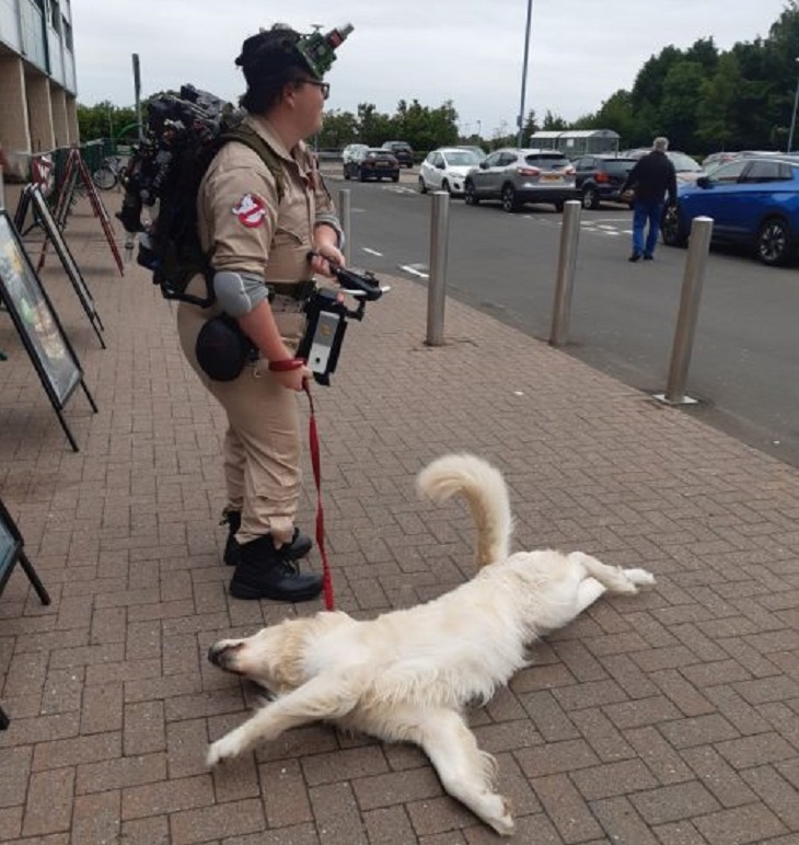 freddie cane amici vigilanti supermercati