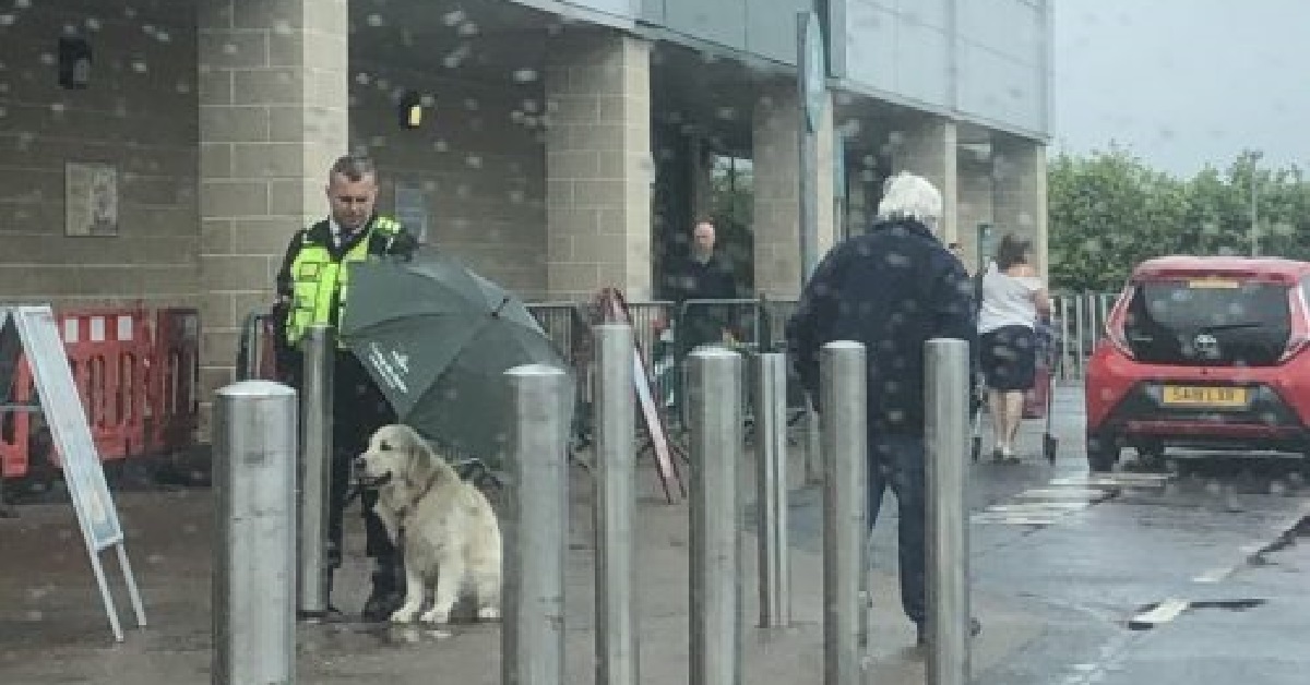 Cane viene protetto dalla pioggia battente da una guardia (FOTO)