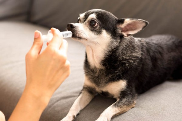 integratore al cane