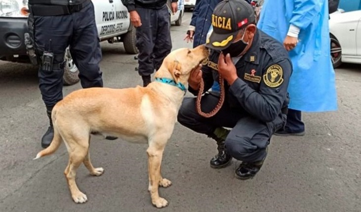 firuco cane scoperta verità