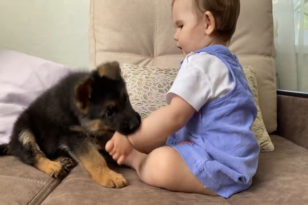 cane e bambino