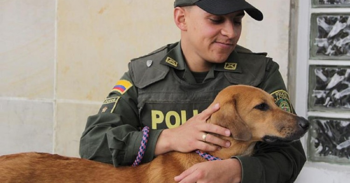 Il salvataggio del cane legato e gettato nella gelida palude (VIDEO)