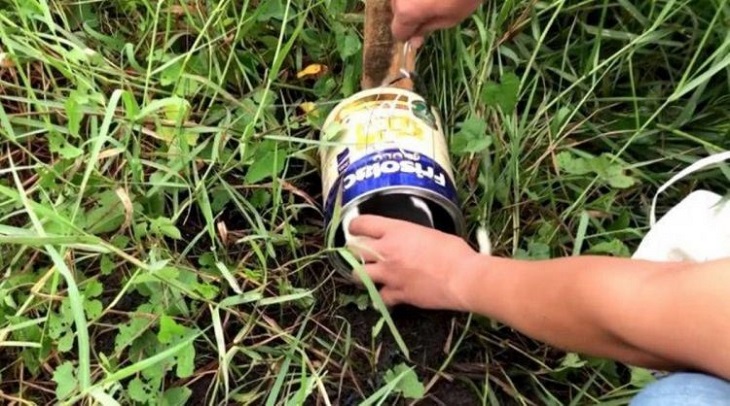 cucciolo finito in barattolo trappola