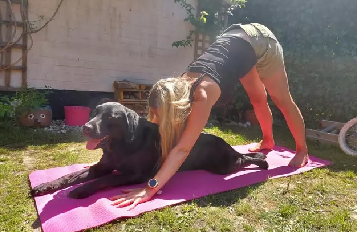 bobby cane labrador lezioni yoga
