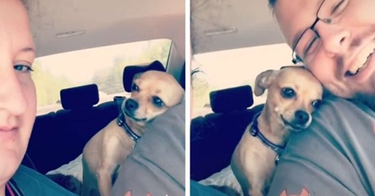 Bristol, la cagnolina dolcemente innamorata del suo papà (VIDEO)