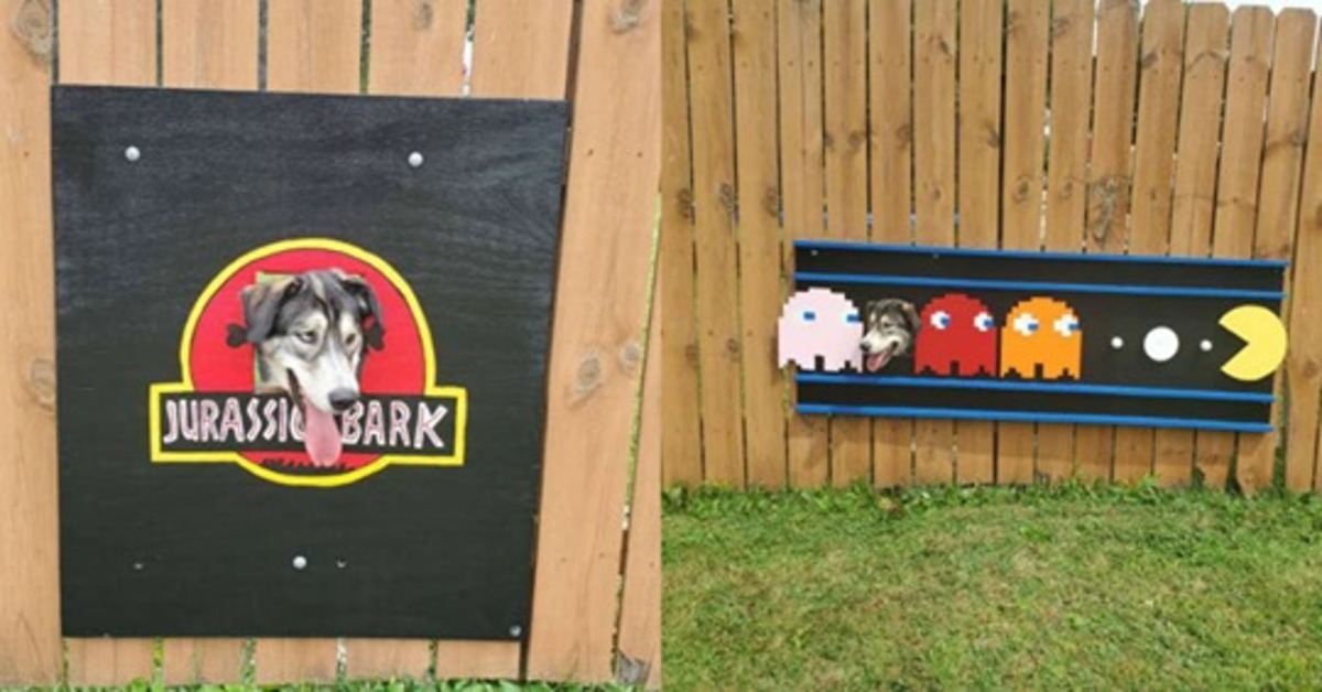 Burger, il cagnolino diventato famoso per le decorazioni della recinzione del giardino