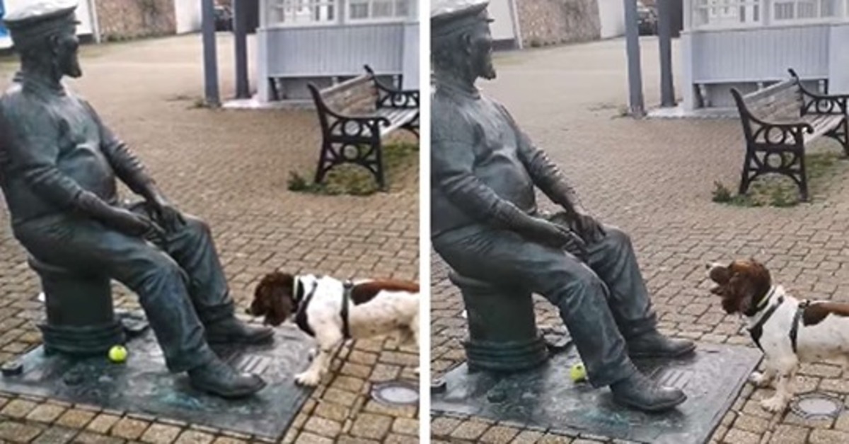 Chester, il cagnolino che vuole farsi tirare la pallina da una statua (VIDEO)