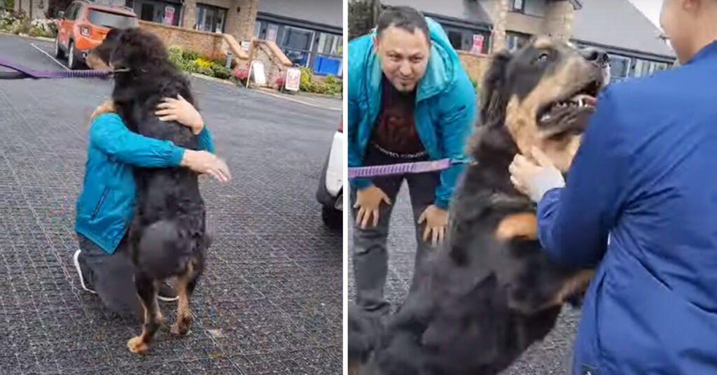 Cane che abbraccia i padroni