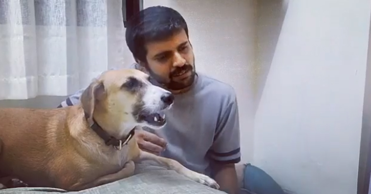 Il cagnolino esegue un duetto di musica classica con il suo proprietario (video)