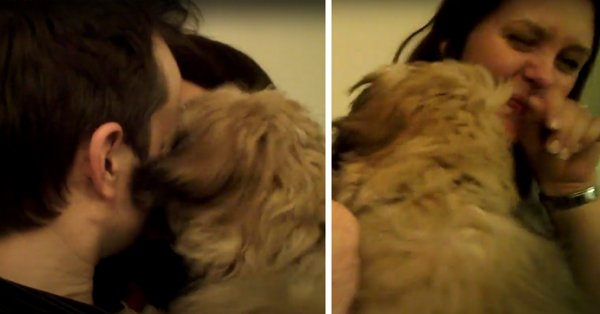 Il cane è geloso del bacio tra i suoi proprietari e il video diventa virale
