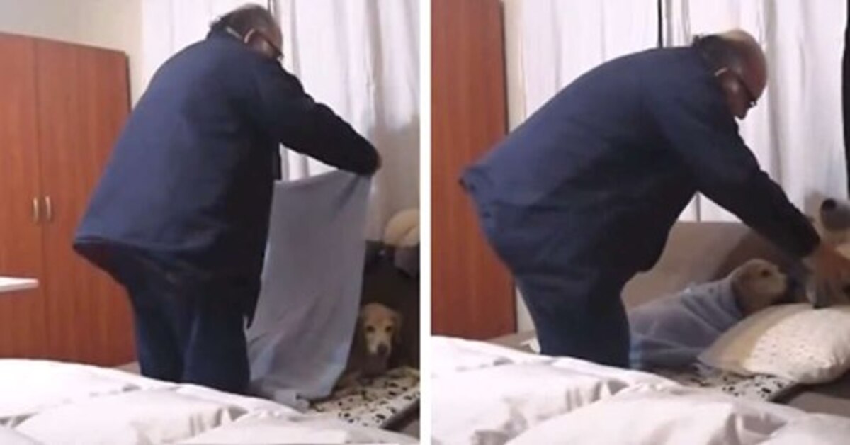 Jean Gray, la cagnolina che ha una routine della buonanotte condivisa con il suo “papà” (VIDEO)