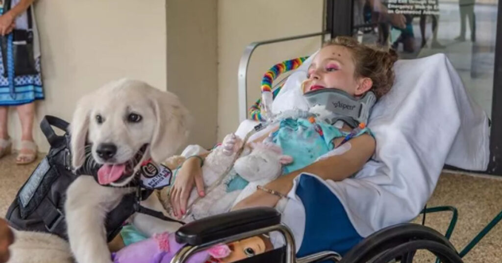 Cucciolo di Golden Retriever con una bambina in ospedale