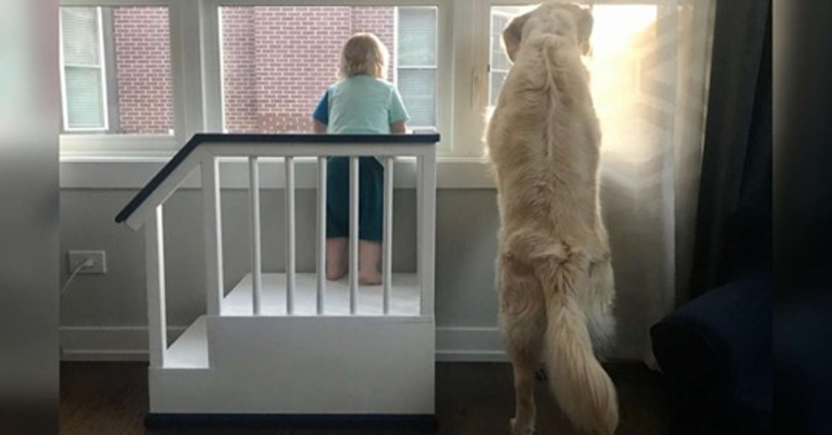 La splendida amicizia fra Lucy, una Golden Retriever e il suo bambino