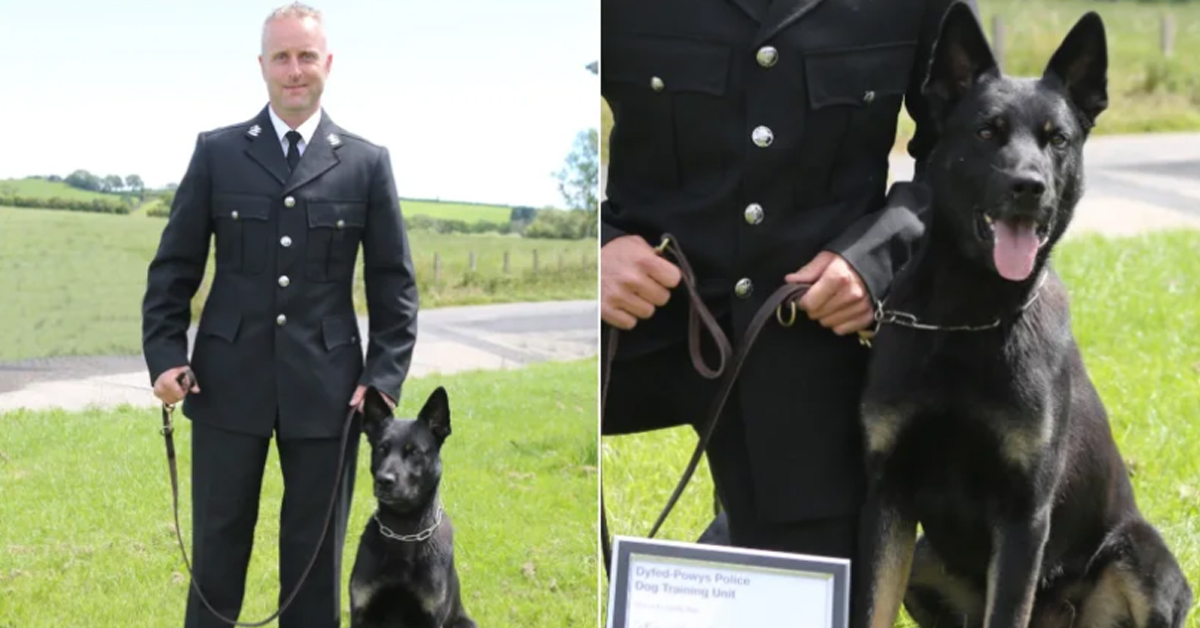 Max, il cane poliziotto che al primo turno di lavoro ha salvato mamma e figlio
