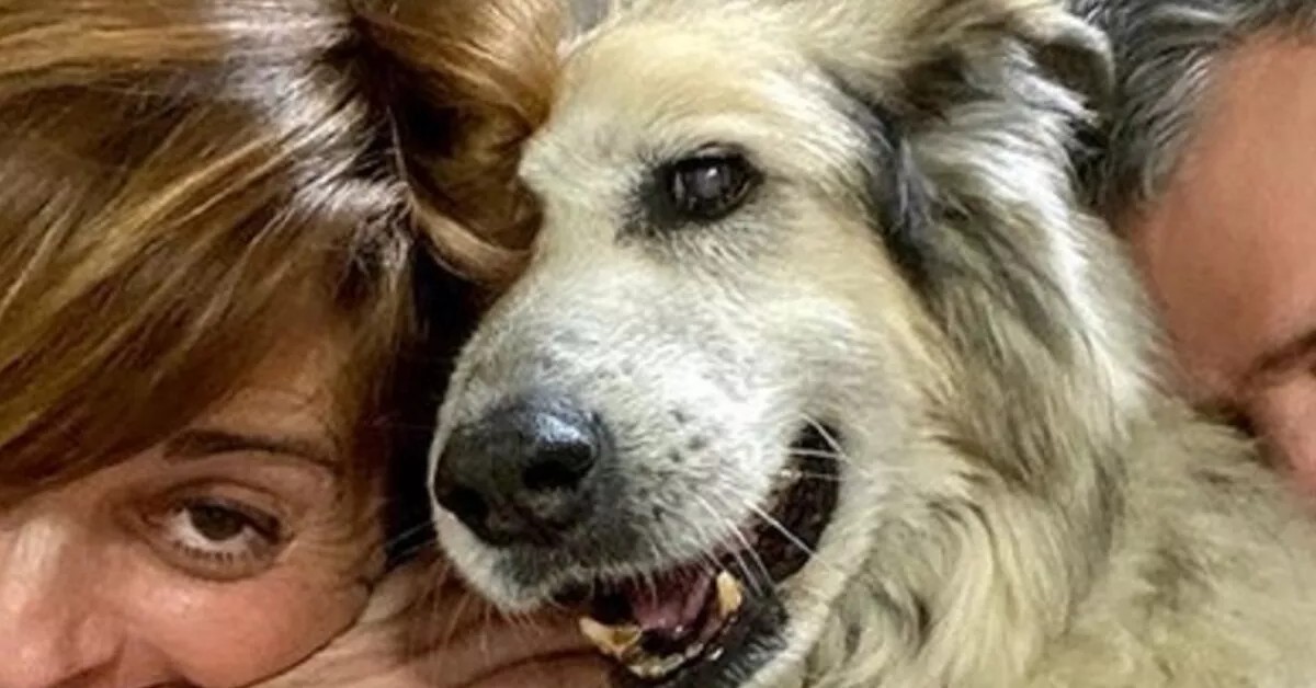 Addio a Nuvola, il cane di Benedetta Rossi; l’annuncio su Instagram