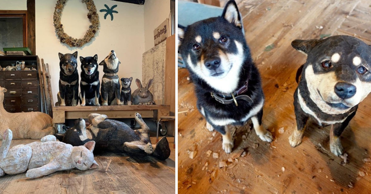 Tsuki, lo Shiba Inu che ama mimetizzarsi con le sue copie in legno (video)