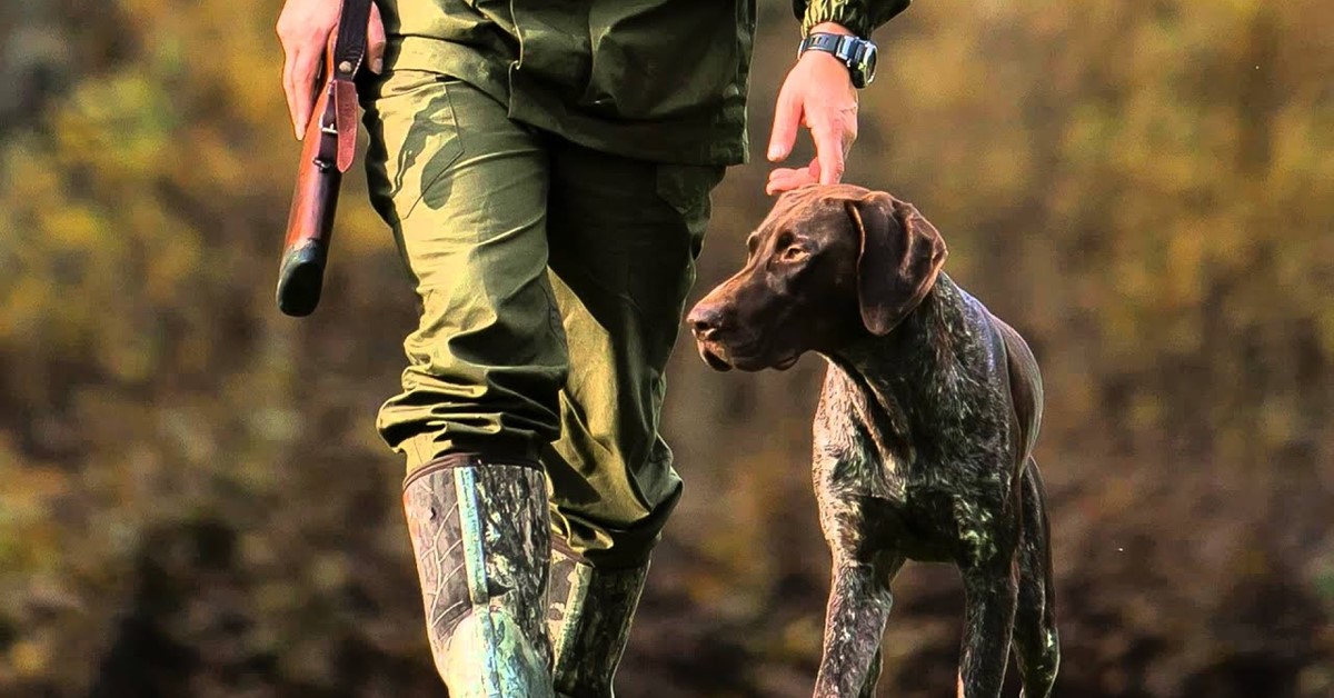 Addestramento cane da ferma: tutto quello che bisogna sapere