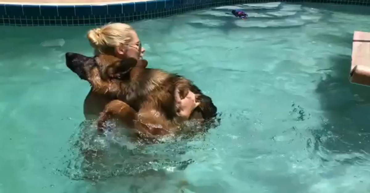 Cane vuole la sua padrona accanto quando sono in piscina (VIDEO)