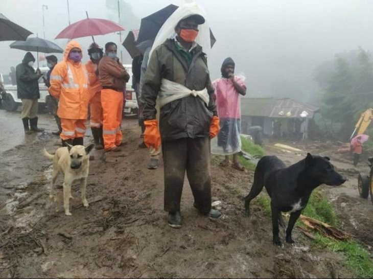 koovi cane fratello ricerca