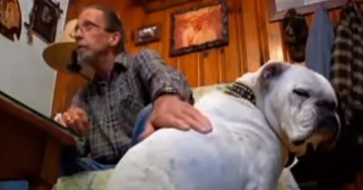 Chance, l’anziano pitbull che ha salvato la vita del proprietario (VIDEO)
