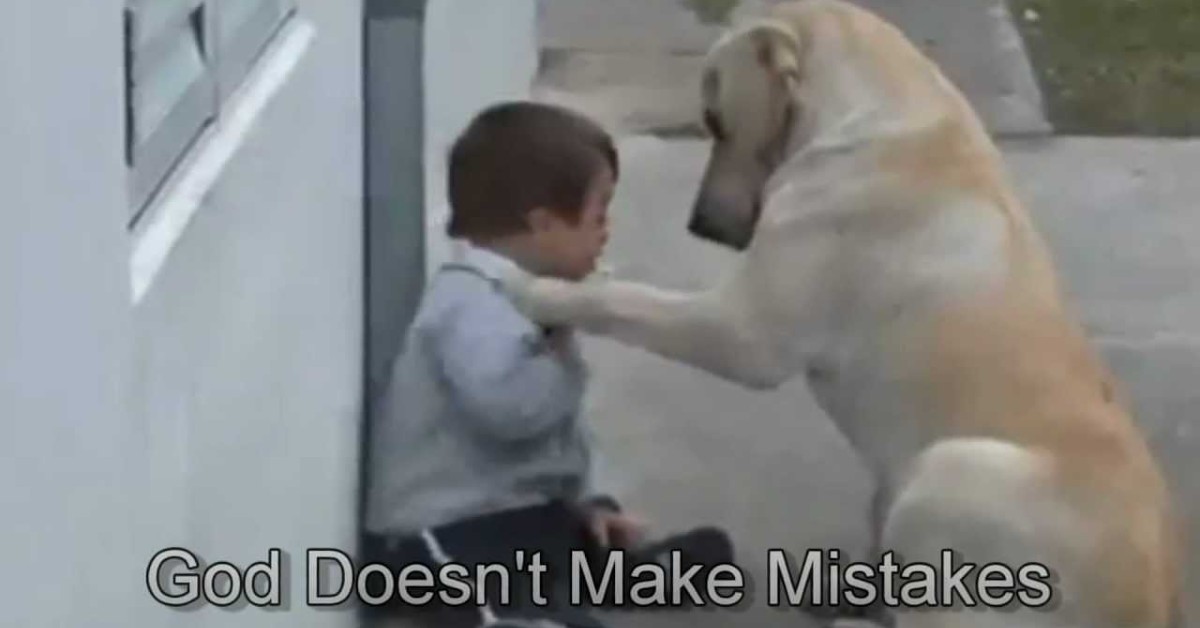 Labrador interagisce con un bambino molto speciale(VIDEO)