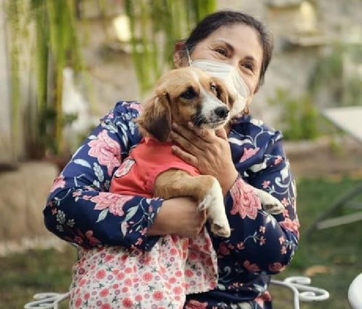 reyna cagnolina felice famiglia