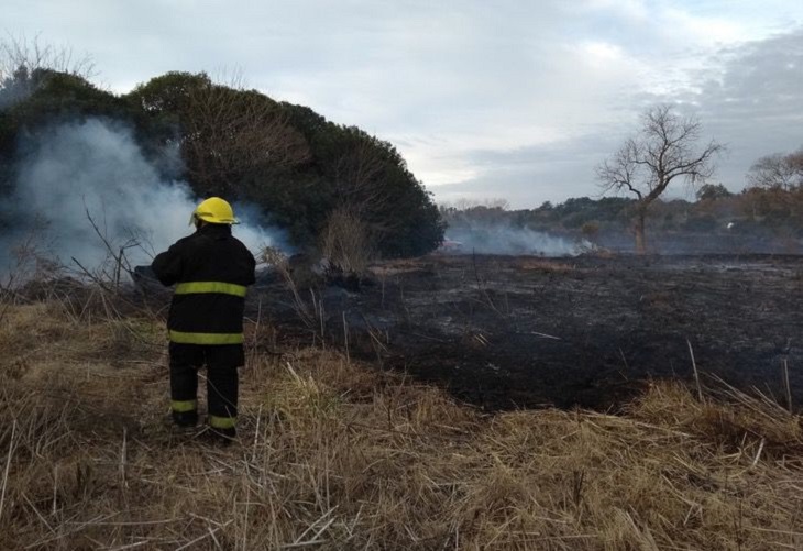 pachi vigili estinguono fiamme