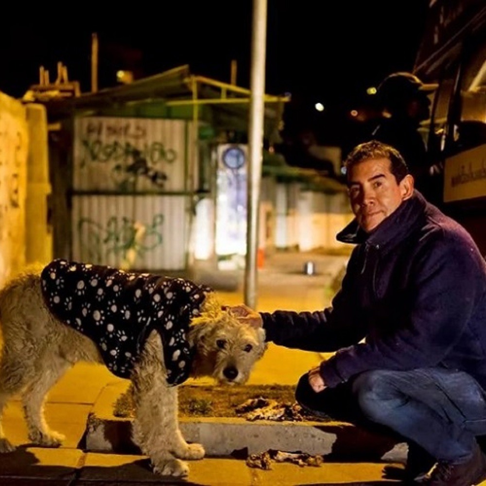 Uomo lascia il lavoro per dedicarsi completamente ai cani randagi (VIDEO)