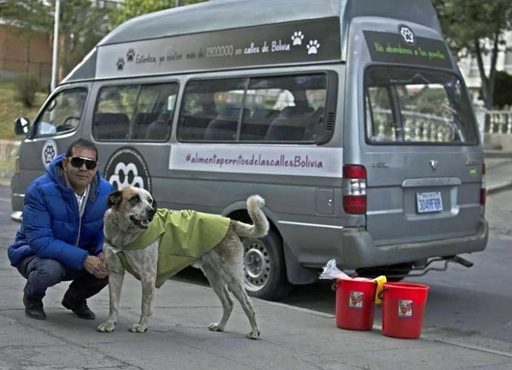 fernando cani randagi lascia lavoro