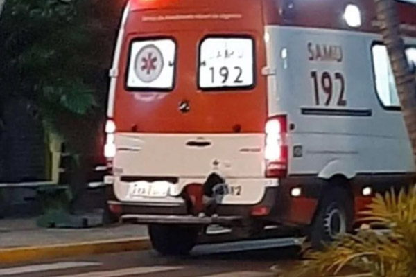 Cane salta su un'ambulanza