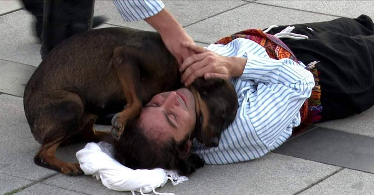 Il cane randagio interrompe la performance di un attore che si finge morto per confortarlo (video)