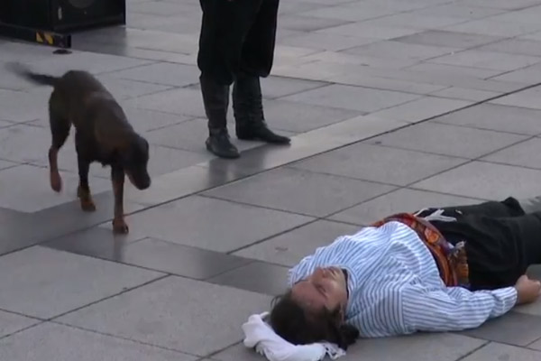 Cane con un uomo sdraiato