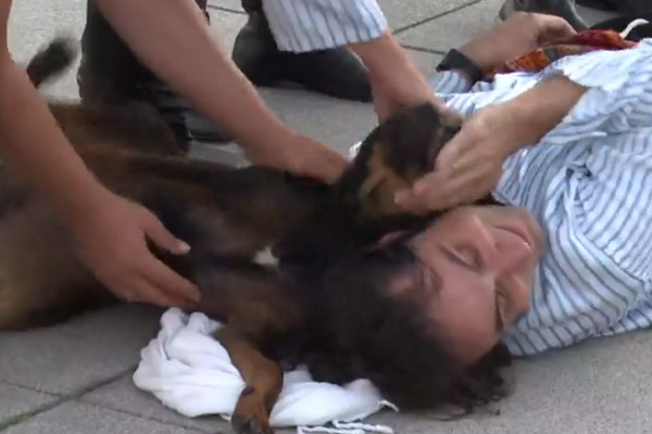 Cane con un uomo sdraiato