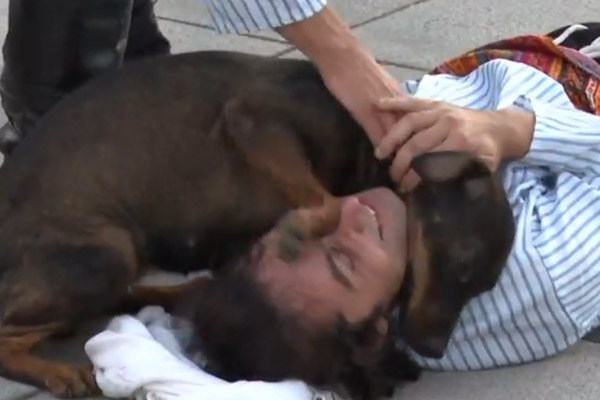 Cane con un uomo sdraiato