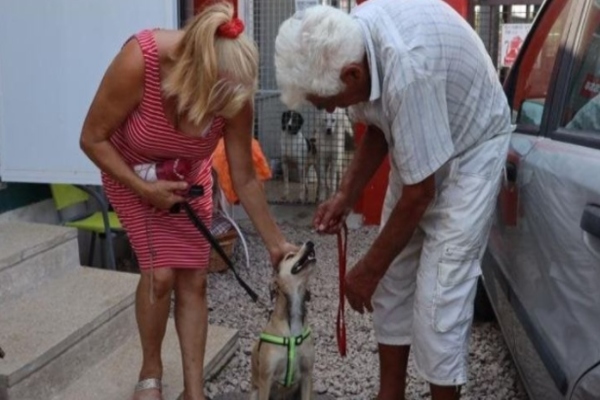 un uomo e una donna con un cagnolino