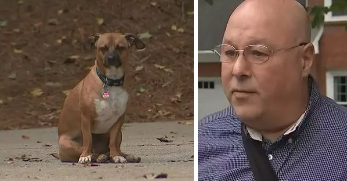 Rudy, il cagnolino che ha salvato il vicino di casa rimasto incastrato sotto ad un’auto