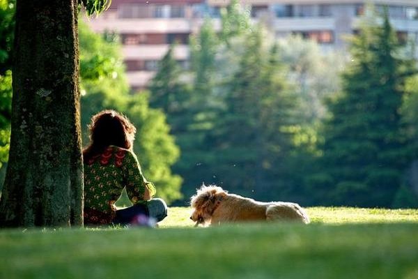 cane anziano con proprietaria