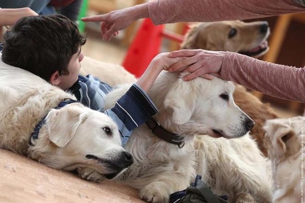 caneterapia con golden retriever