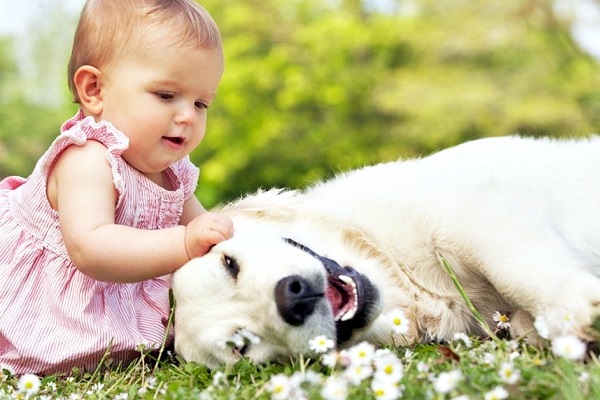 bambina gioca con il cane
