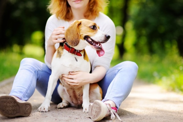 cane che gioca al parco con la sua padrona