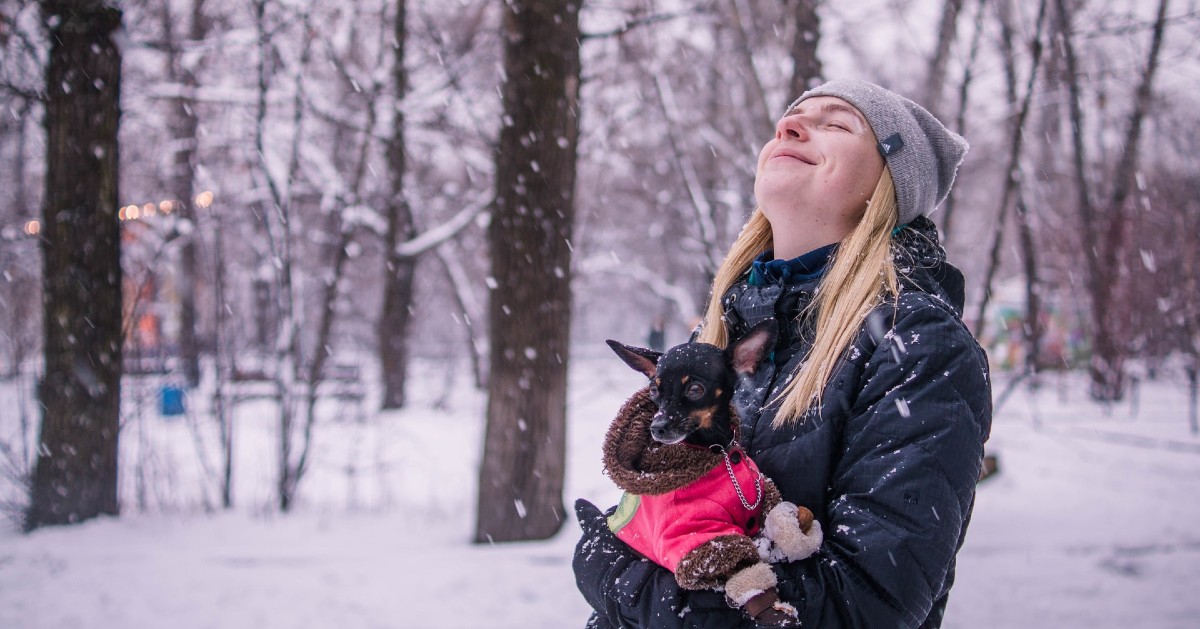 umidità per il cane