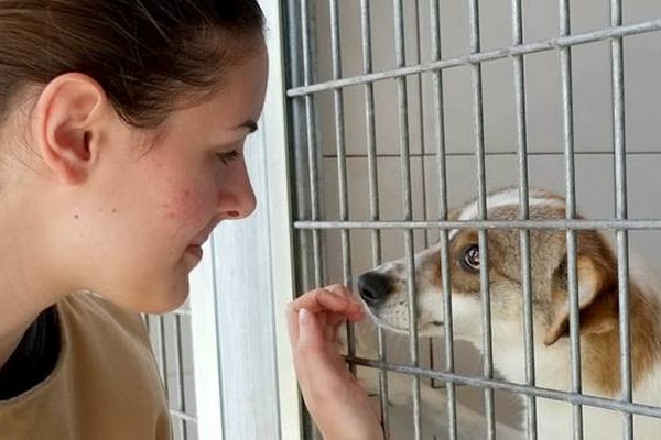 cane e ragazza in canile